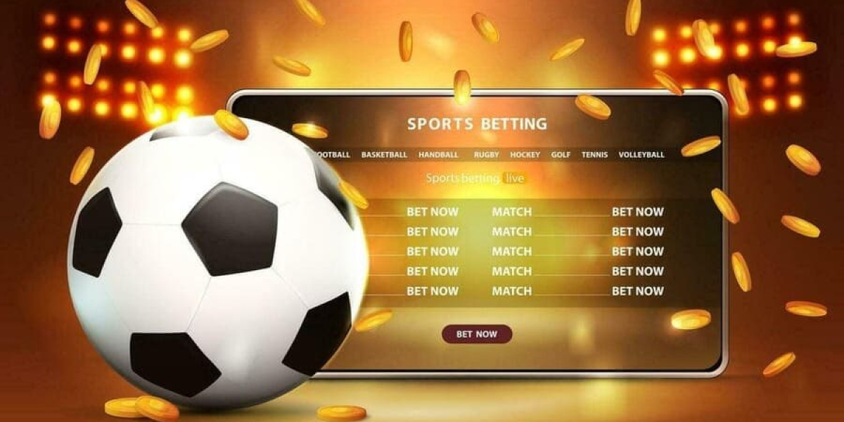 Korean Sports Gambling Site Insights