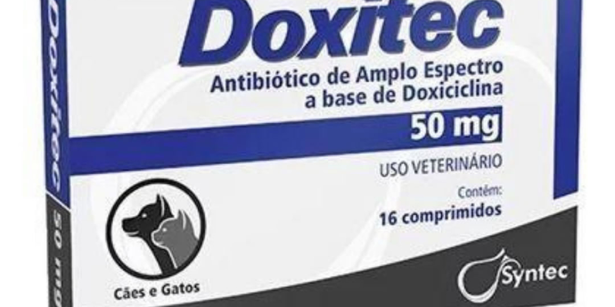 Quando É Hora de Buscar um Veterinário para Exames Histopatológicos no Seu Pet? Entenda a Importância Deste Diagnóstico!